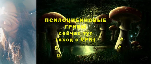 хмурый Богданович