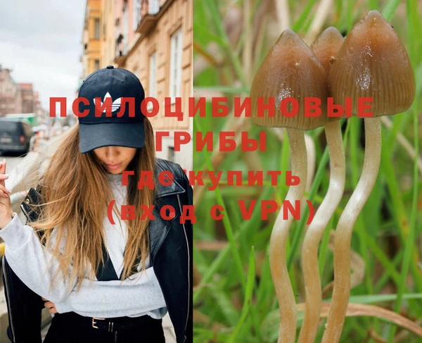 стаф Саяногорск