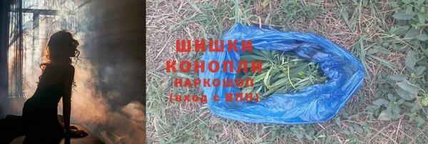 хмурый Бронницы