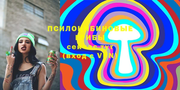 2c-b Белокуриха