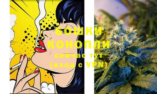 амф Богородск