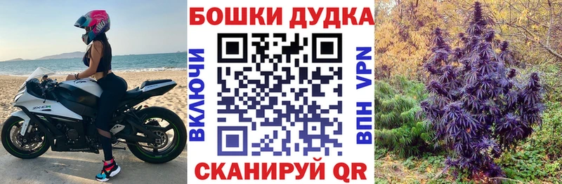 Бошки Шишки план  Бутурлиновка 